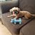 Debra Winn's profile image
