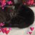 Kim Derby-Sweitzer's profile image