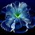 Marlene Schroeder's profile image
