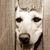Marsha Frick's profile image