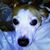 Rhonda Kelley's profile image