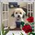 Dianne Garner's profile image