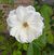 Jill Carter's profile image