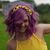 Jocelyn Weber's profile image