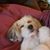 Russell Davignon's profile image