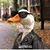 Jose Avalos's profile image