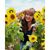 Alice Wheeles's profile image