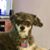 Jerry Klandrud's profile image