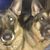 Holly Metzger's profile image