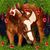 Kathy Simillion's profile image