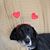 Dawn Calderwood Winstead's profile image