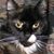 Andi Kronstadt's profile image