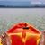 Michelle Musheno-Williams's profile image