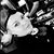 Saycee Kilvas's profile image