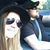 Brandi Hayes Young's profile image