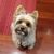 Gail Pruett's profile image
