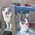 Connie George's profile image