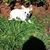 Perri Devaney's profile image