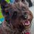 Karen Krause Meeker's profile image