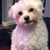 Karen Miller Burkhart's profile image