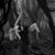 Alena Moran's profile image