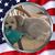 Brenda Holcman Johnsen's profile image