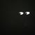 Will C. Wilder's profile image