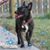 Sherry Bott's profile image