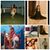Doris Trochez's profile image