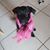 Lisa Hickman Metzler's profile image