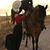 Osvaldo Corona's profile image