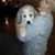 Beth Pachin's profile image