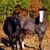 Jason Stewart Brown's profile image