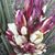 Elvira Brown's profile image