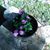 Penny Baumler's profile image