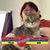 Diane Roy's profile image