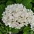 Jean McAdam's profile image