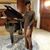 Daphaney Rose Vante's profile image