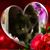 Pam Whitefield's profile image