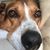 Moira Howard-Jeweler's profile image