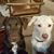 Lanie Anderson's profile image