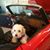 Peter Cania's profile image