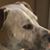 Kate Nelson's profile image