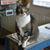 Michael Chamberlain's profile image