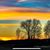 Colleen Doyle Greener's profile image