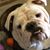 Brandy Brown-Padalecki's profile image