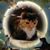 Polly Wiegand's profile image