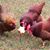 Jerry Walker's profile image
