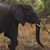 Susan Prather's profile image