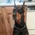 Debbie Tanner-Smith's profile image